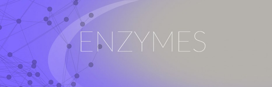 collection-header-enzymes