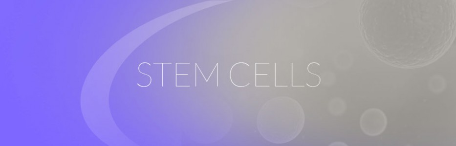 collection-header-stem-cells