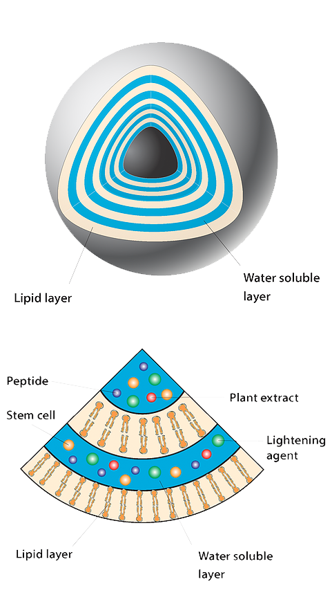 vectorize-diagram-large